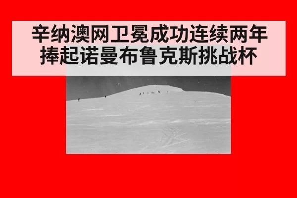 辛纳澳网卫冕成功连续两年捧起诺曼布鲁克斯挑战杯